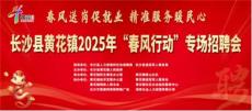 長沙縣黃花鎮(zhèn)舉辦“春風(fēng)行動”專場招聘會 