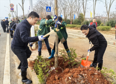 第47個(gè)植樹(shù)節(jié)｜衡陽(yáng)市珠暉區(qū)：干群齊參與 綠樹(shù)住“新家”