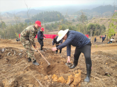 福建永安：“黨旗紅”引領(lǐng)“生態(tài)綠”