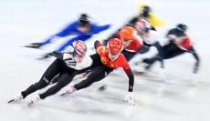 短道“中國龍”，即將主場出戰(zhàn)！