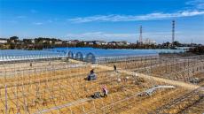 安徽廬江：春間大棚搭建忙