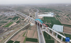 西延高鐵富平特大橋貫通