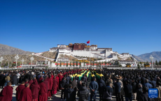 西藏隆重慶祝百萬農(nóng)奴解放紀(jì)念日