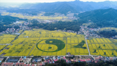 衡陽縣庫宗橋鎮(zhèn)交出一份出色的“春日經(jīng)濟(jì)”答卷