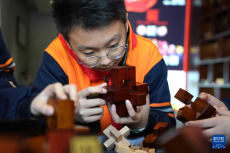 山東滕州：小小魯班鎖為縣域富民產(chǎn)業(yè)添活力