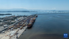 巴西多舉措應(yīng)對(duì)美貿(mào)易保護(hù)主義