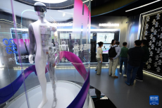 經(jīng)濟(jì)大省挑大梁｜廣東打造機(jī)器人產(chǎn)業(yè)集群高地