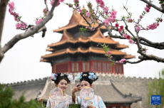 春風(fēng)春景里的攝影熱