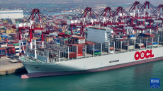 山東港口一季度吞吐量、集裝箱吞吐量雙增長(zhǎng)