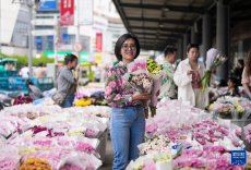 七彩“云花”香飄越南