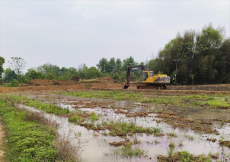 衡陽(yáng)市珠暉區(qū)酃湖鄉(xiāng)：有序備春耕 “閑田”變“忙田”