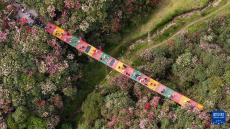 貴州：多彩大地 風(fēng)光無(wú)限