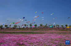 第42屆濰坊國際風(fēng)箏會開幕