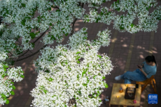 山東濟(jì)南：休閑庭院激發(fā)消費(fèi)新活力