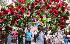 第137屆廣交會第二期開幕