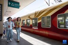 首列湖湘主題旅游專列“南方列車·瀟湘號”在長沙發(fā)車