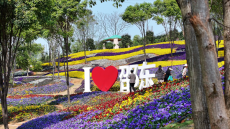 全是精華！“五一”來邵東，游玩攻略來了