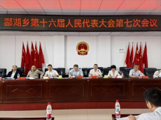 酃湖鄉(xiāng)：“四個(gè)聚力”，奮力譜寫酃湖現(xiàn)代化建設(shè)新篇章