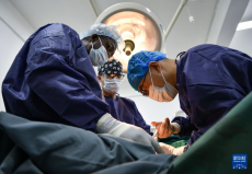 中國第31批援幾內(nèi)亞醫(yī)療隊在當?shù)亻_展醫(yī)療服務(wù)