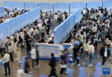 杭州舉辦青年就業(yè)促進大會