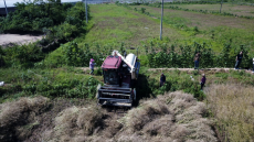 從“煙熏火燎”到“綠色高效” 岳屏鎮(zhèn)開啟秸稈還田新模式
