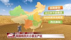 又到一年夏收季！全國豐收地圖來了