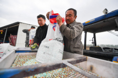 黑土糧倉”春耕忙——吉林推進(jìn)現(xiàn)代化大農(nóng)業(yè)建設(shè)一線觀察