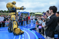 “世界機器人嘉年華”在武漢舉行