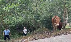 兩頭耕?！巴媸й櫋?警民聯(lián)動(dòng)幫找回