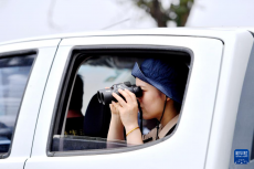 濱海濕地邊的麋鹿守護者