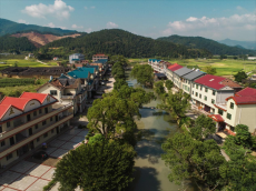 福建永安：創(chuàng)新“四帶”模式繪就鄉(xiāng)村振興巾幗路