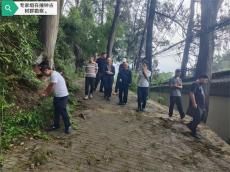 貴州省林科院專家組赴黔西鐘山為古樹群復(fù)壯“把脈”