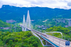 渝廈高鐵重慶東至黔江段開通運營