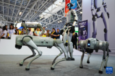 第四屆RCEP區(qū)域（山東）進口商品博覽會在臨沂開幕