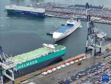 山東煙臺(tái)：出口汽車裝運(yùn)忙