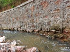 八旬臺胞“回鄉(xiāng)記”：為兩岸青年交流架起“連心橋”