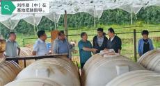 全國著名微生物專家劉作易為畢節(jié)試驗示范基地“把脈”