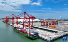 山東：東營港專業(yè)化集裝箱碼頭啟用