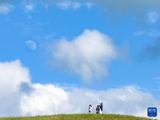 高山草原美如畫