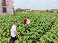 湖南信息學(xué)院藝yang青春學(xué)生團(tuán)隊(duì)走進(jìn)衡陽縣官町村調(diào)研