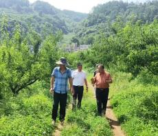 六大河報(bào)道 | 李克明一行到放珠鎮(zhèn)開展看學(xué)幫活動(dòng)