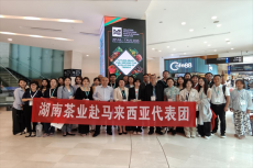 深耕擴(kuò)大東南亞出口 ?努力開辟新渠道市場??