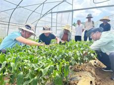 六大河?| 畢節(jié)老科協(xié)“看學(xué)幫”活動(dòng)在納威赫迎“熱”而上