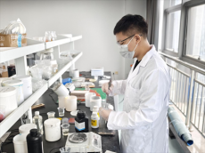 他鄉(xiāng)煉劍·故土礪鋒 ——“歸雁經(jīng)濟(jì)”的衡陽樣本