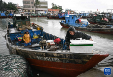 海南：伏季休漁結(jié)束 漁船避風(fēng)暫緩出海