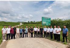 六大河報道 | 班程農(nóng)：要走規(guī)范化標準化產(chǎn)業(yè)化品牌化之路