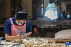 莆田仙游：推動傳統(tǒng)工藝美術(shù)產(chǎn)業(yè)升級轉(zhuǎn)型