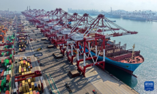 山東港口青島港外貿(mào)航線數(shù)量持續(xù)增加