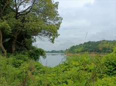 幸福水流長(zhǎng)——湖南攸縣寧家坪鎮(zhèn)消災(zāi)水庫(kù)工程建設(shè)紀(jì)實(shí)