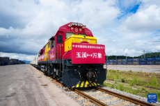 中老鐵路國(guó)際貨物列車(chē)（玉溪—萬(wàn)象）實(shí)現(xiàn)雙向開(kāi)行